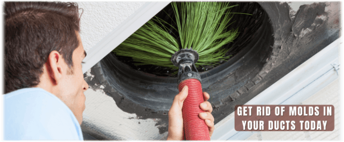 Air Duct Mold Removal in Frederick MD
