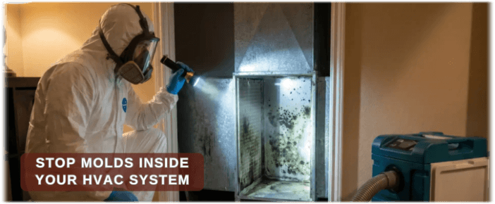 HVAC Mold Removal Frederick MD